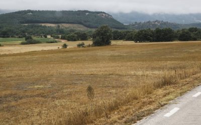 INFORME DE COAG SOBRE LOS EFECTOS DE LA SEQUÍA EN CAMPO ESPAÑOL