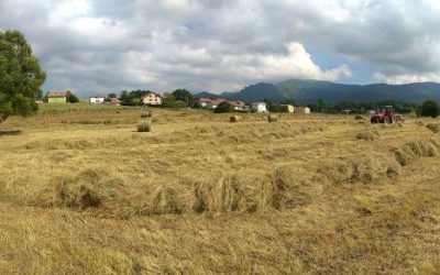 BALANCE AGRARIO 2021-En 2021 se ha producido un descenso de la renta agraria (por UTA) del 6% según el MAPA