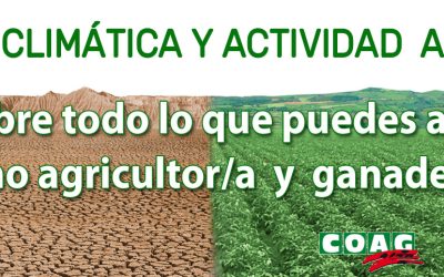 LUCHA CLIMÁTICA Y ACTIVIDAD AGRARIA