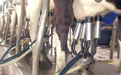 COAG pide que se revisen todos los contratos de compra-venta de leche entre ganaderos e industria