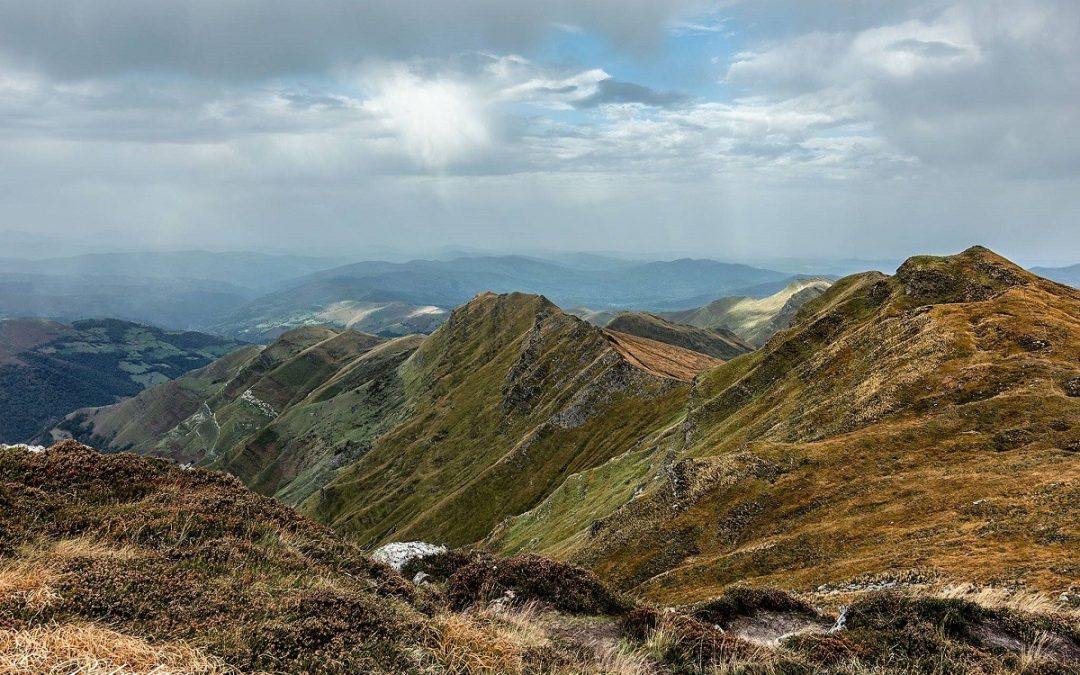 Ayudas para actuaciones de mejora y aprovechamiento sostenible de los montes de Cantabria para 2022