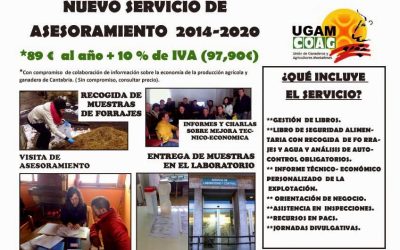 NUEVO SERVICIO DE ASESORAMIENTO 2014-2020