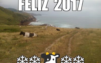 Feliz 2017