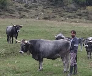 Publicadas las ayudas a la primera instalación de agricultores jóvenes y modernización de explotaciones agrarias en Cantabria