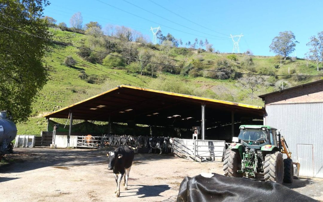 SE AMPLÍA EL PLAZO DE SOLICITUD DE LAS AYUDAS PARA PRIMERA INSTALACIÓN DE AGRICULTORES JÓVENES Y MODERNIZACIÓN DE EXPLOTACIONES GANADERAS