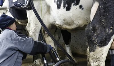 INFORMACIÓN IMPORTANTE SOBRE LAS RECLAMACIONES POR EL FRAUDE EN LOS PRECIOS DE LA LECHE