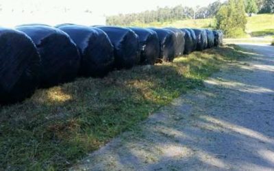 UGAM se reúne con MARE para trasladar la preocupación de los ganaderos por la imposibilidad de un reciclado correcto de los plásticos de las bolas de silo