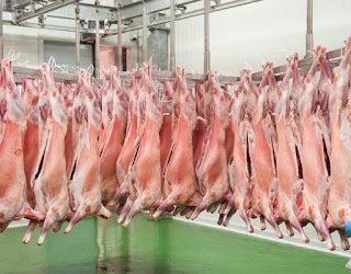 UGAM-COAG PROPONE Y ANALIZA SOLUCIONES PARA LOS SECTORES GANADEROS