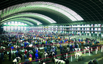 NOVEDADES EN EL FERIAL DE GANADOS DE TORRELAVEGA. (REUNIÓN DE LA COMISIÓN ASESORA)