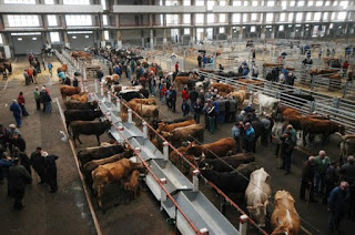 DATOS ACTUALES DE PRECIOS DE MERCADO EN LA CARNE