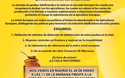 APICULTORES ESPAÑOLES, FRANCESES Y PORTUGUESES SE MANIFESTARÁN EL 28 DE ENERO EN SUS RESPECTIVAS CAPITALES CONTRA LAS IMPORTACIONES MASIVAS DE MIEL FALSA