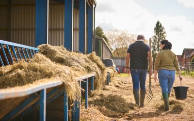 EL NÚMERO DE EXPLOTACIONES AGRÍCOLAS EN ESPAÑA DISMINUYÓ UN 12,4% ENTRE 2020 Y 2023