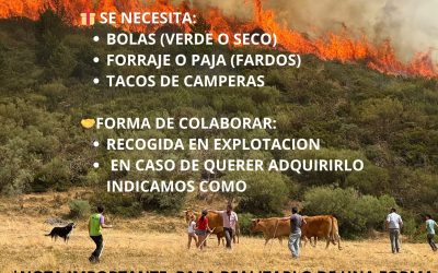 AYUDA A LOS GANADEROS AFECTADOS POR LOS INCENDIOS