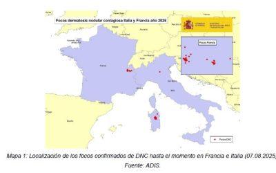 ACTUALIZACIÓN SOBRE LA DERMATOSIS NODULAR CONTAGIOSA (DNC) EN FRANCIA E ITALIA