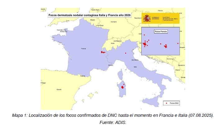 ACTUALIZACIÓN SOBRE LA DERMATOSIS NODULAR CONTAGIOSA (DNC) EN FRANCIA E ITALIA