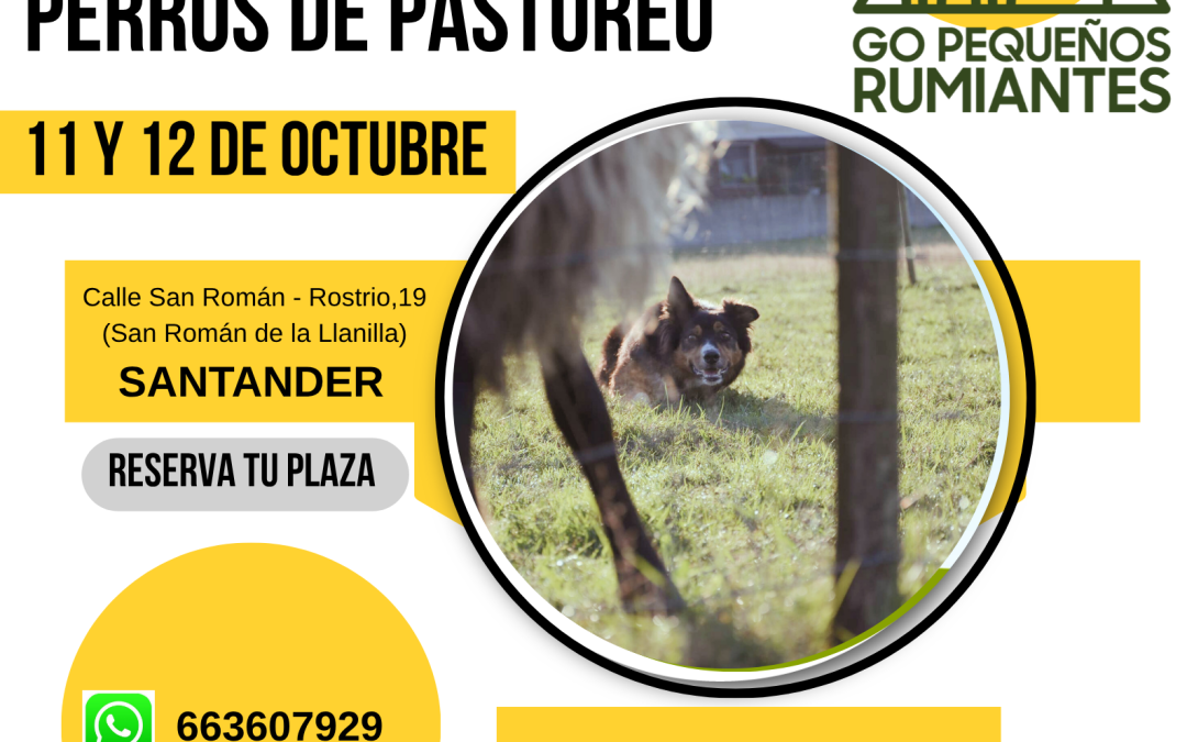SEMINARIO GRATUITO DE ADIESTRAMIENTO DE PERROS DE PASTOREO