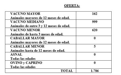 FERIA CELEBRADA EL DÍA 8 DE OCTUBRE DE 2025