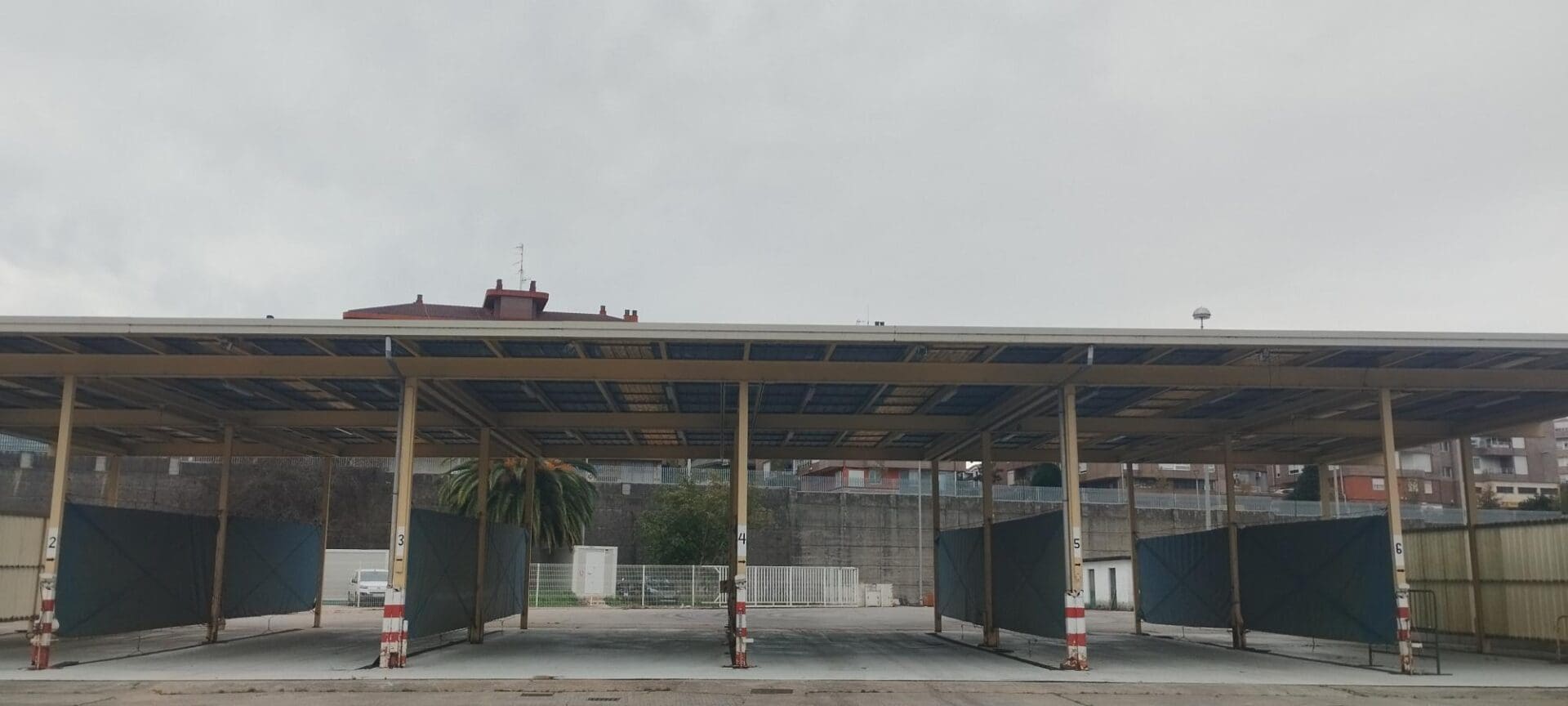 1731060245777-scaled