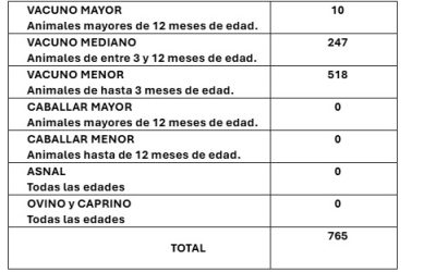 FERIA DEL 18 DE NOVIEMBRE DE 2025