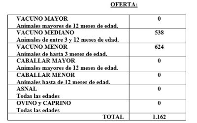 FERIA DEL 26 DE NOVIEMBRE DE 2025