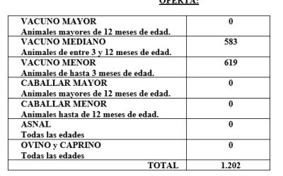 FERIA DEL 3 DE DICIEMBRE DE 2025