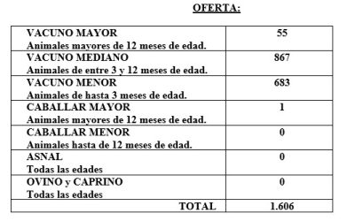 FERIA CELEBRADA EL DÍA 10 DE DICIEMBRE DE 2025