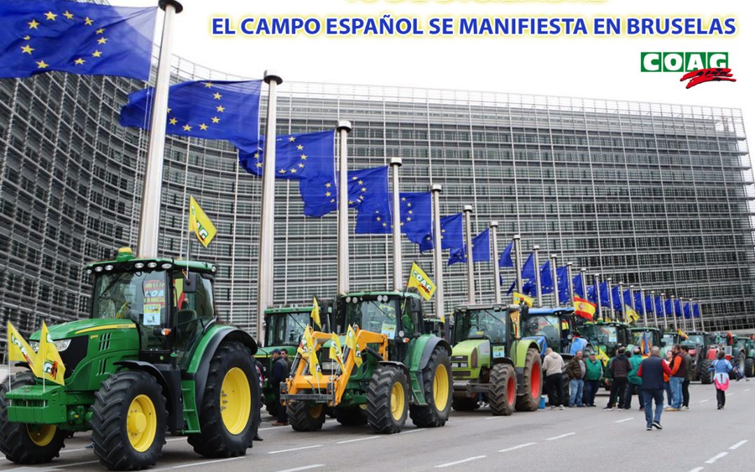 Más de un centenar de agricultores y ganaderos de COAG participarán el 18 de diciembre en Bruselas en la gran manifestación del campo europeo