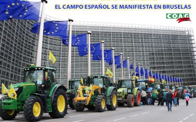 Más de un centenar de agricultores y ganaderos de COAG participarán el 18 de diciembre en Bruselas en la gran manifestación del campo europeo