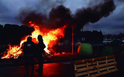UGAM-COAG se solidariza con los ganaderos franceses afectados por el sacrificio de explotaciones por la DNC